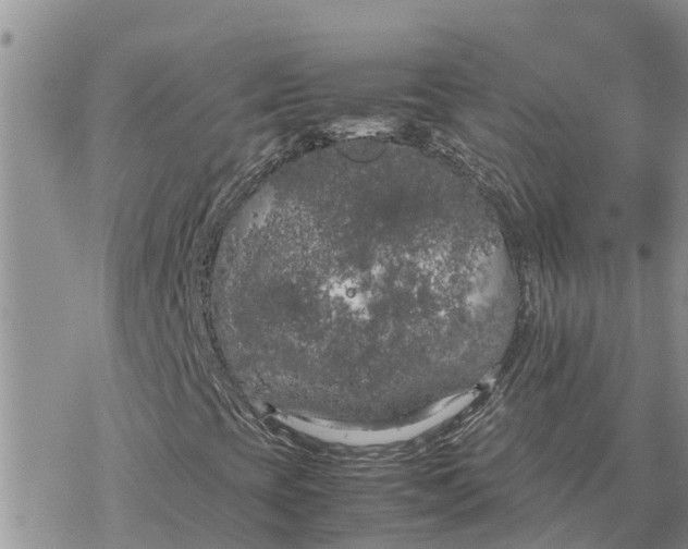 X0000078241393200611251227