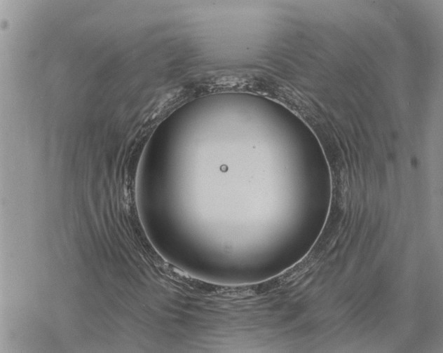 X0000078241394200611251227