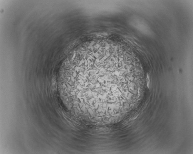 X0000078241395200611251227