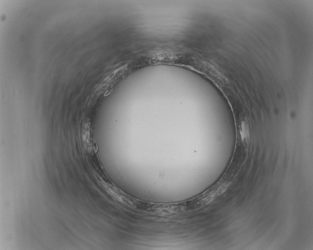 X0000078241396200611251227