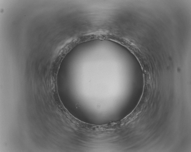 X0000078241398200611251227