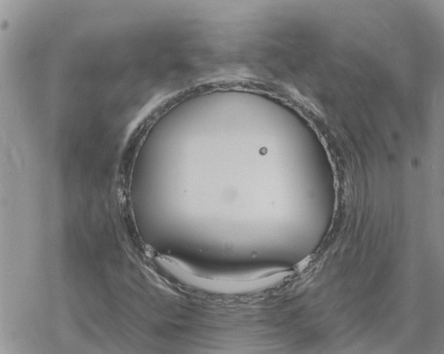 X0000078241400200611251227