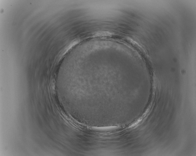 X0000078241401200611251227