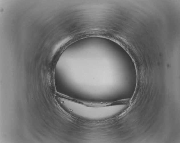 X0000078241402200611251227