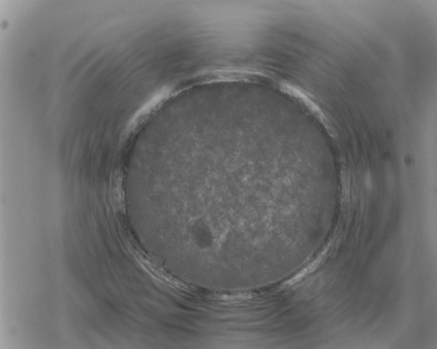 X0000078241403200611251227