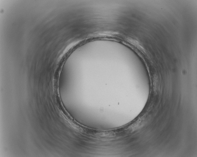 X0000078241404200611251227