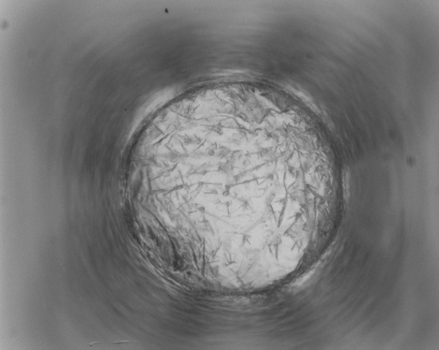 X0000078241405200611251227