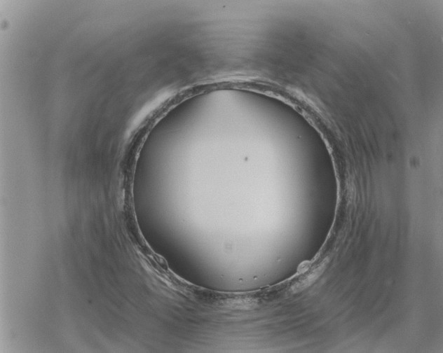 X0000078241406200611251227