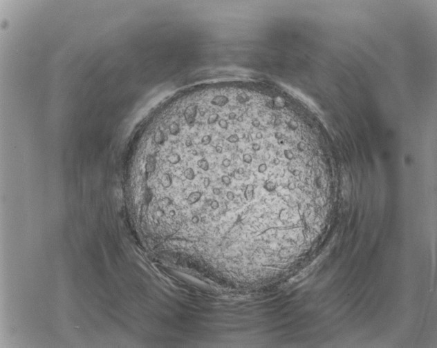 X0000078241407200611251227