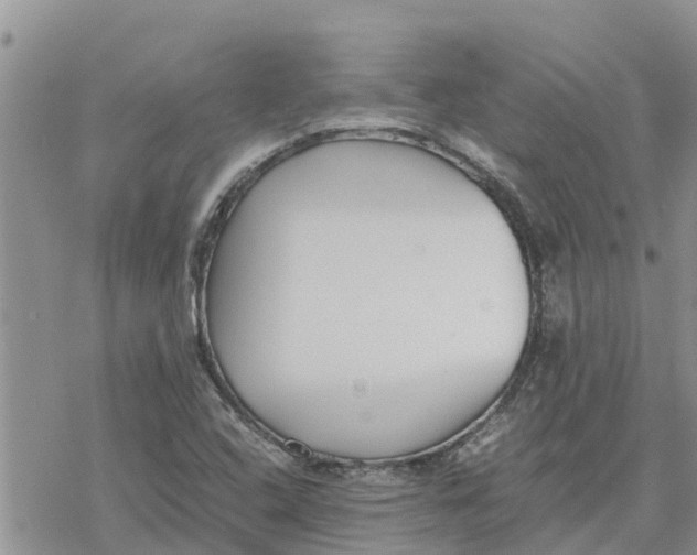 X0000078241408200611251227