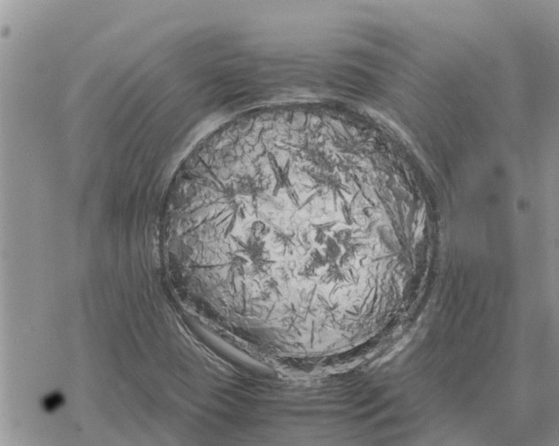 X0000078241409200611251227