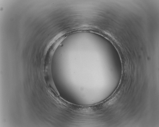 X0000078241410200611251227