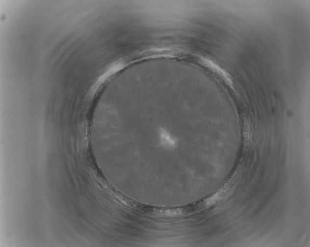 X0000078241411200611251227