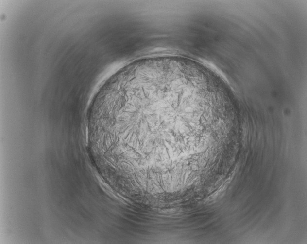 X0000078241413200611251227