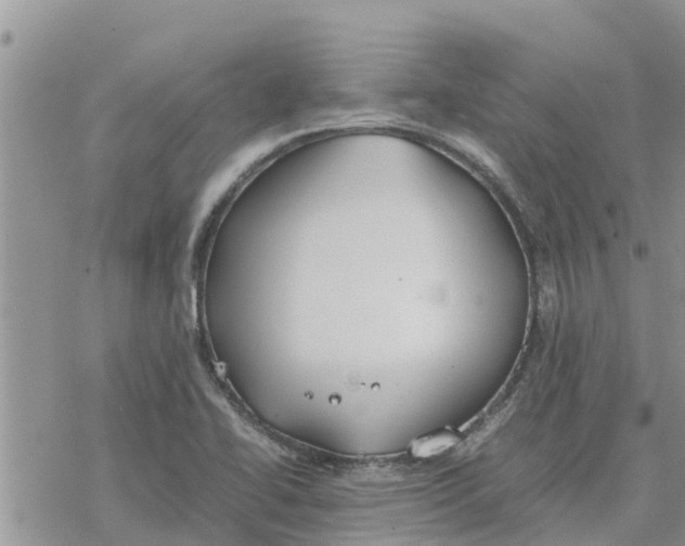 X0000078241414200611251227