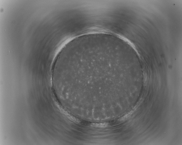 X0000078241415200611251227