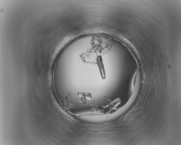 X0000078241416200611251227