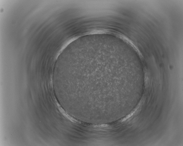 X0000078241417200611251227