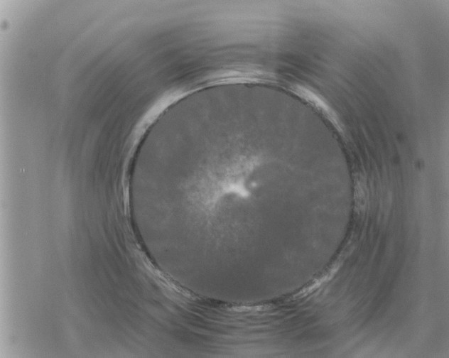 X0000078241419200611251227