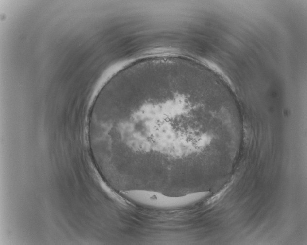 X0000078241421200611251227