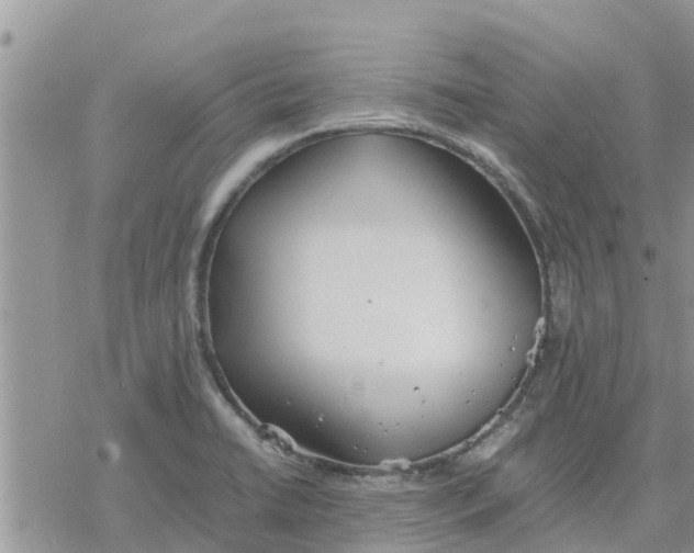 X0000078241422200611251227