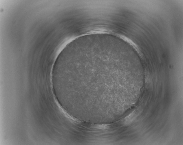 X0000078241423200611251227