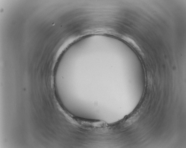 X0000078241424200611251228