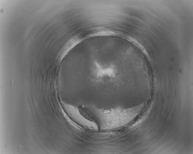 X0000078241425200611251228