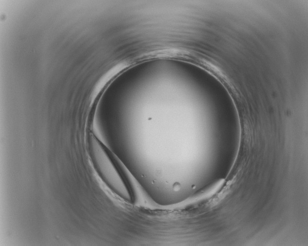 X0000078241426200611251228