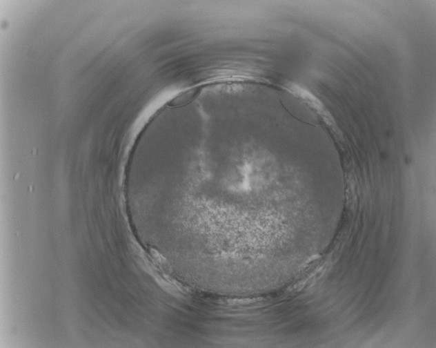 X0000078241427200611251228