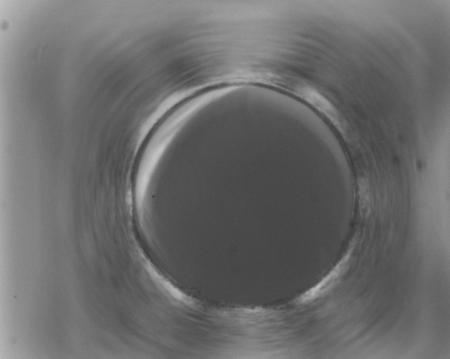 X0000078241428200611251228