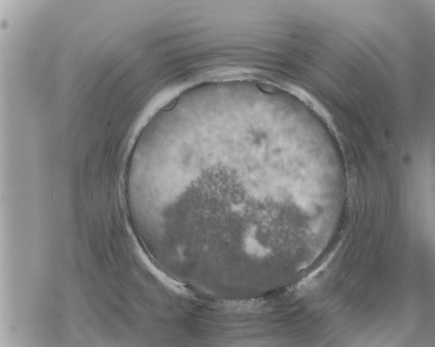 X0000078241429200611251228