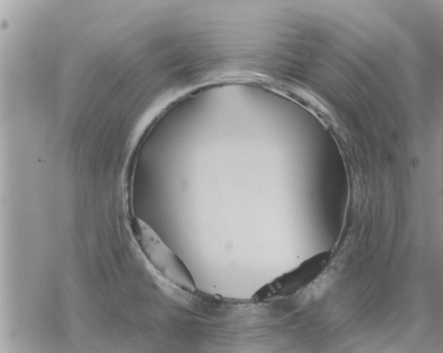 X0000078241430200611251228