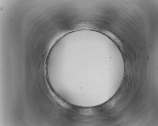 X0000078241431200611251228