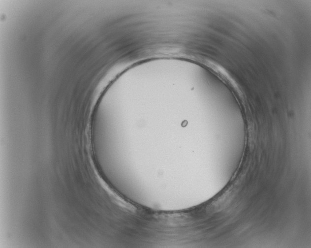 X0000078241432200611251228