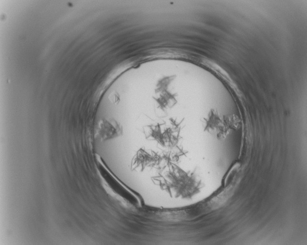 X0000078241433200611251228