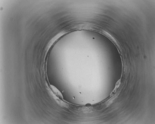 X0000078241434200611251228