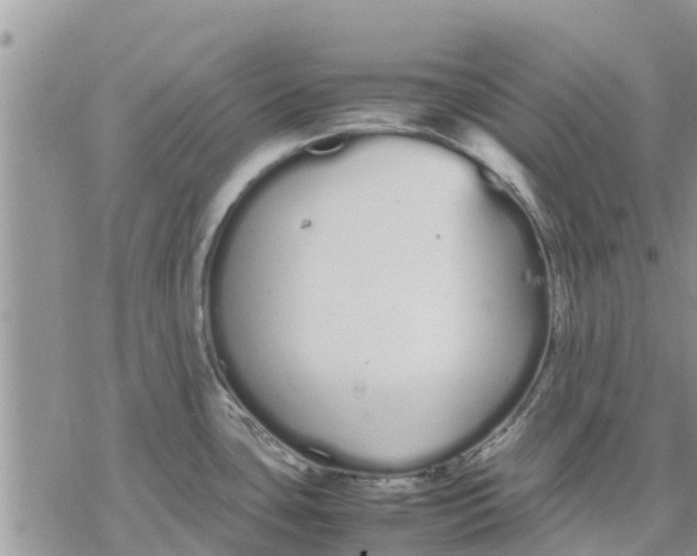 X0000078241435200611251228