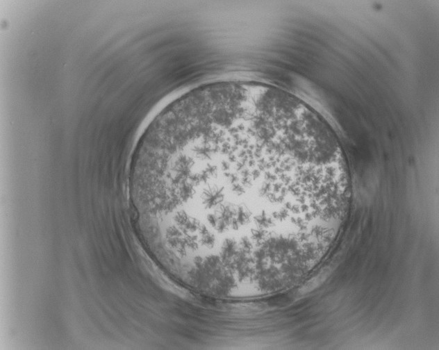 X0000078241436200611251228