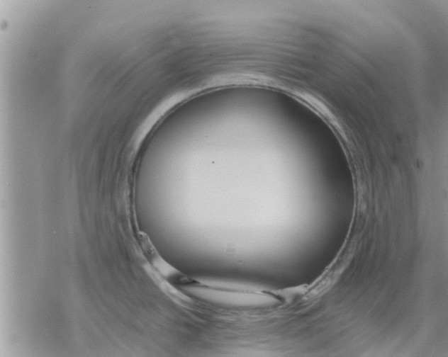 X0000078241438200611251228