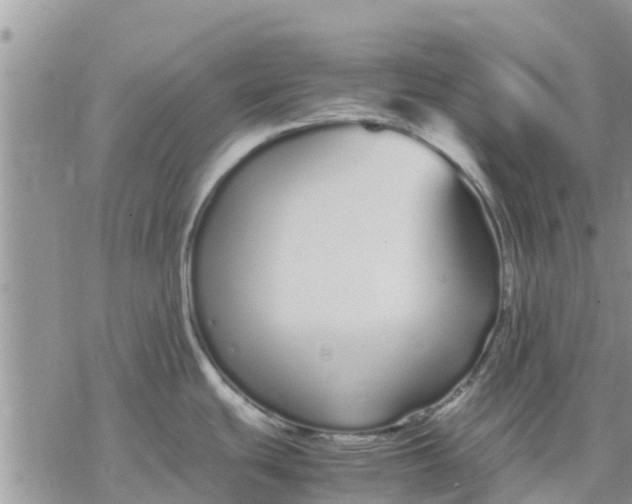 X0000078241439200611251228