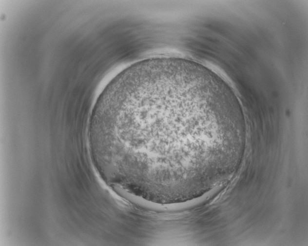 X0000078241440200611251228