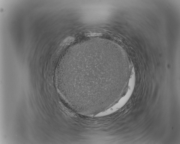 X0000078241441200611251227