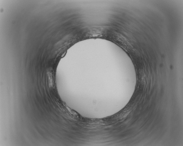 X0000078241442200611251227