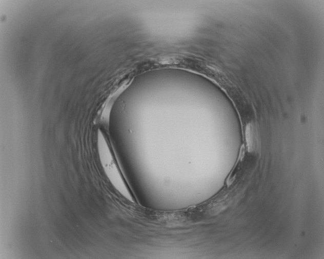 X0000078241443200611251227