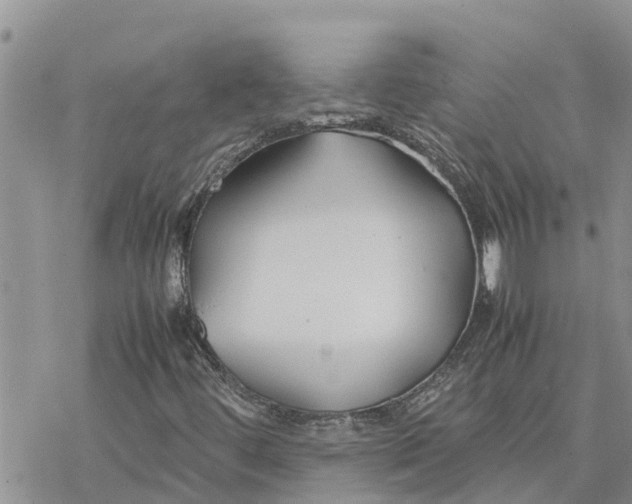 X0000078241444200611251227