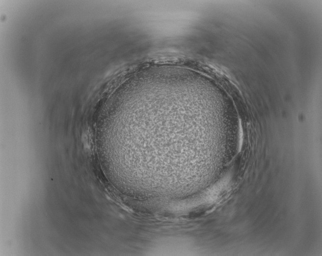 X0000078241445200611251227