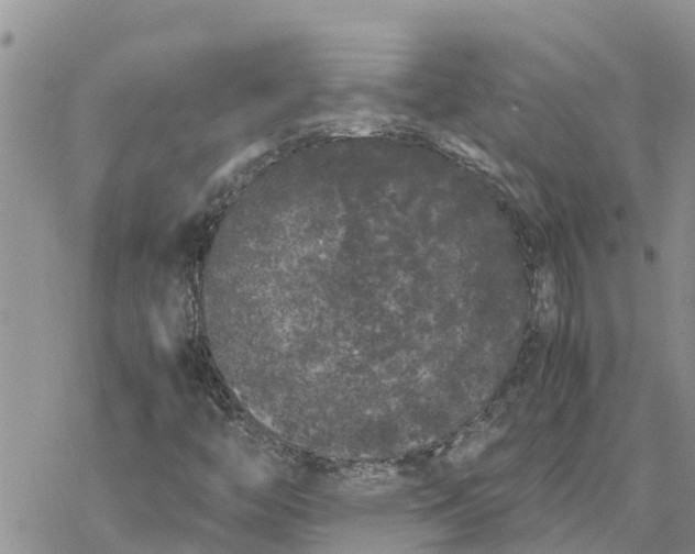 X0000078241446200611251227