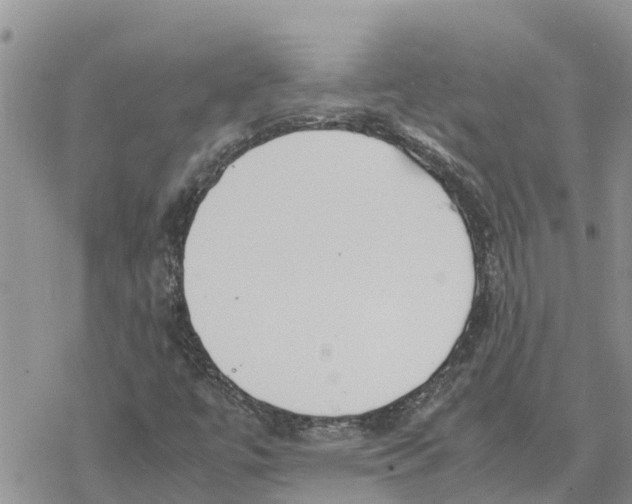 X0000078241447200611251227