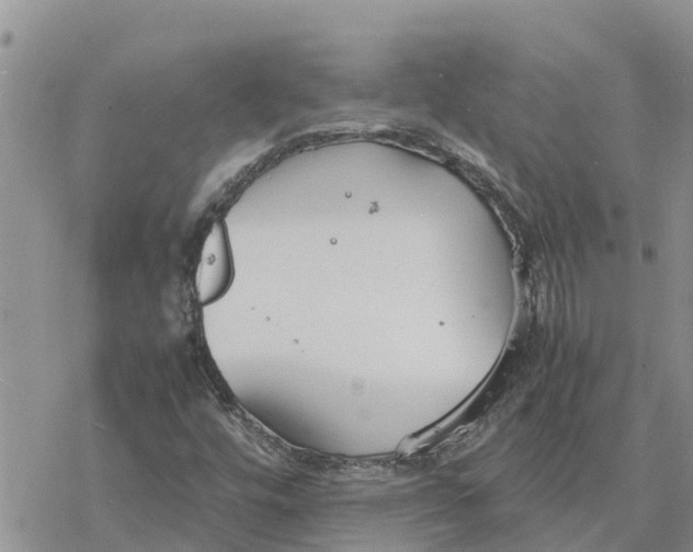 X0000078241448200611251227